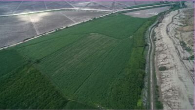 Terreno en Venta – Zona Natural y Tranquila